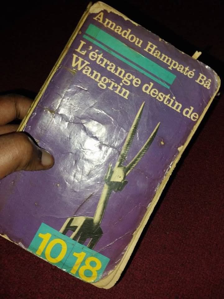 Image du post L’étrange destin de Wangrin d’Amadou Hampaté Bâ, lecture de Stéphane Kabamba