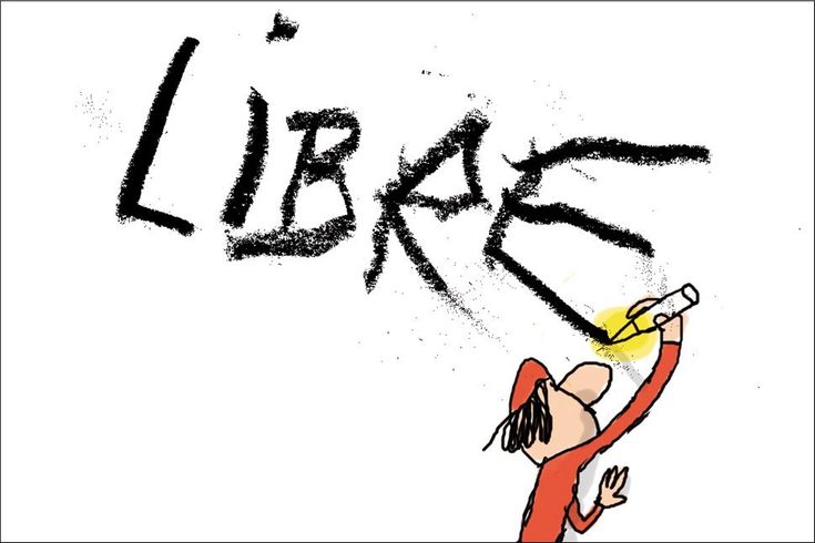 La littérature a engendré les ailes de liberté de la gent féminine