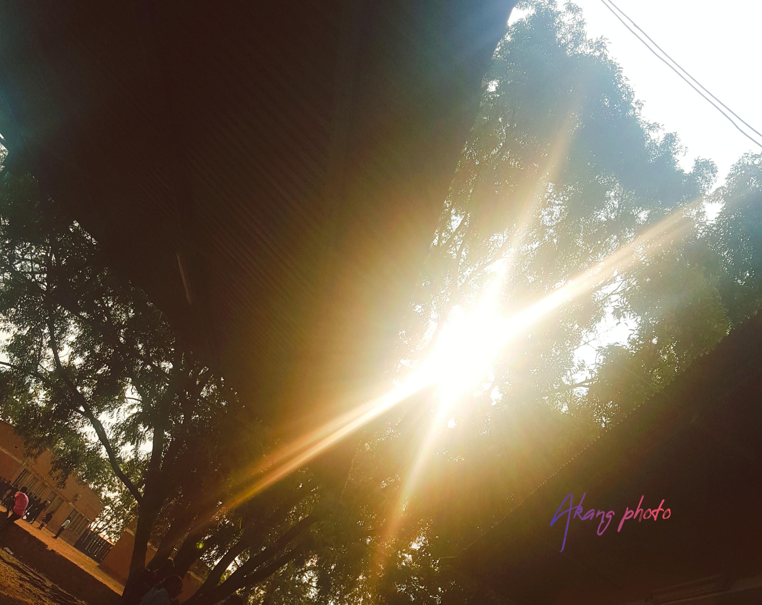 Image principale du post intitulé Je crie paix, ô Ifriqiya !