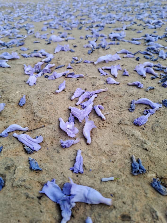 Image principale du post intitulé Limbes