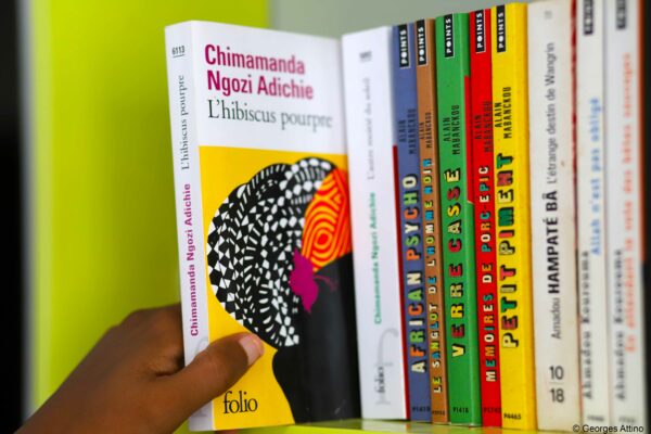 L'hibiscus pourpre de Chimamanda Ngozi Adichie