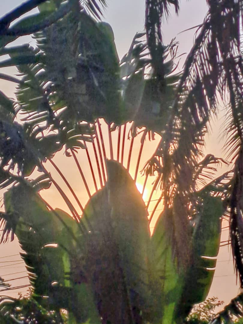 Image principale du post intitulé Éternelle ritournelle