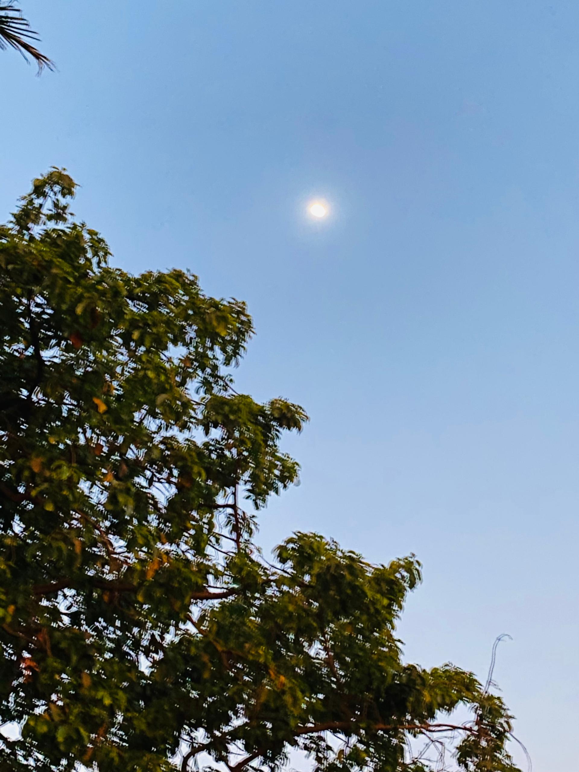 Image principale du post intitulé Là où le sens s'épuise