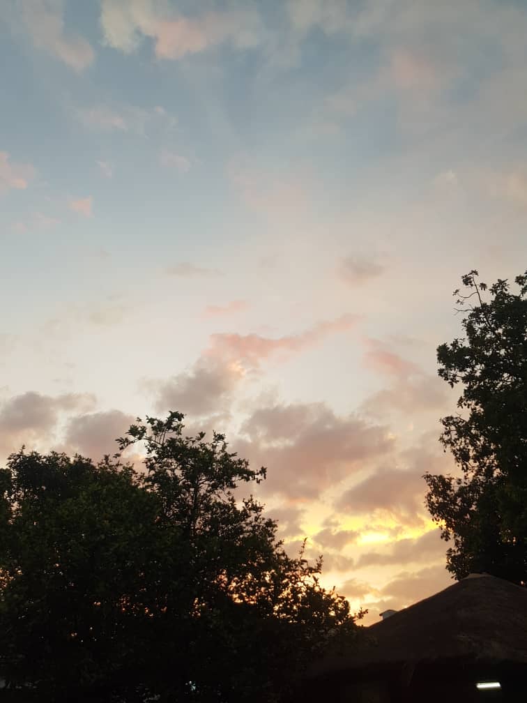 Image principale du post intitulé Dans notre monde