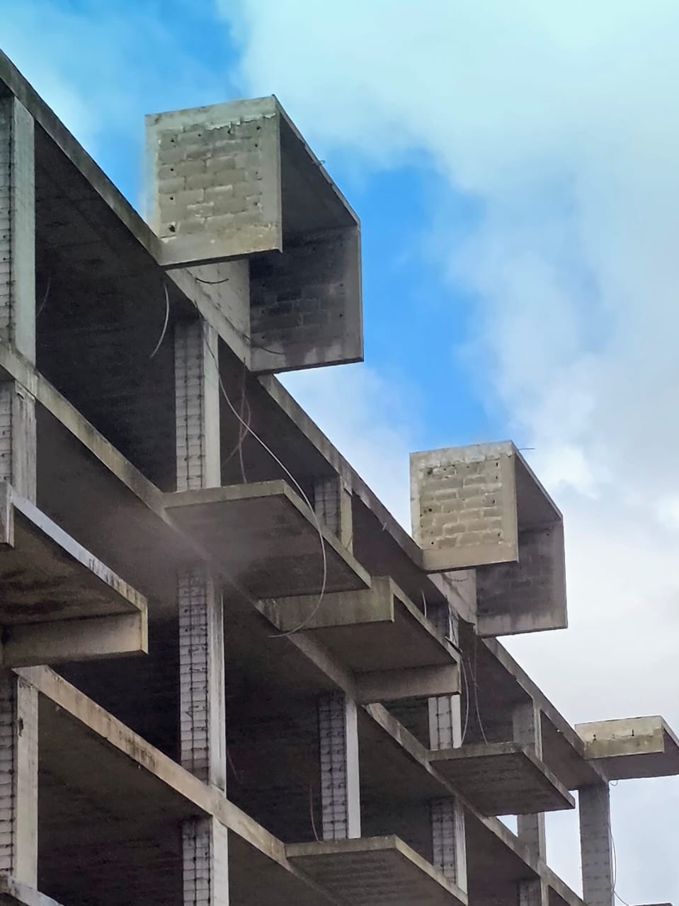 Dans ma prison dorée