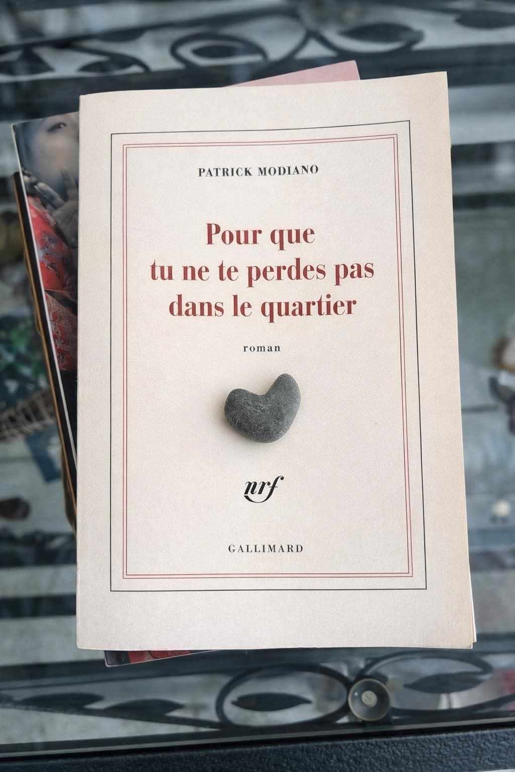 Pour que tu ne te perdes pas dans le quartier de Patrick Modiano