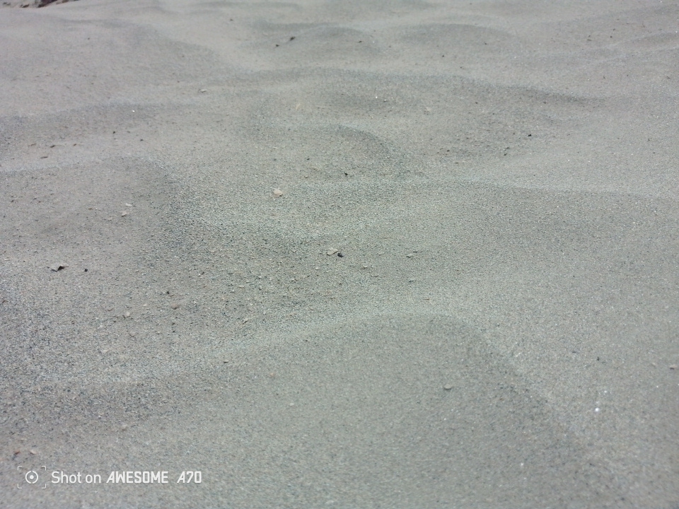 Image principale du post intitulé Aux âmes divines